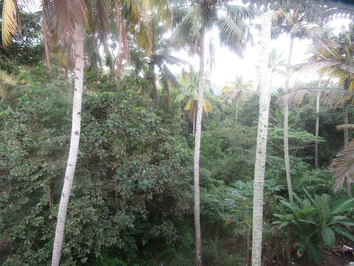 Blue Wave Resort Varkala Eksteriør bilde